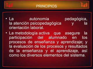 PRINCIPIOS
• La autonomía pedagógica,
la atención psicopedagógica y la
orientación laboral.
• La metodología activa que asegure la
participación del alumnado en los
procesos de enseñanza y aprendizaje; y
la evaluación de los procesos y resultados
de la enseñanza y el aprendizaje, así
como los diversos elementos del sistema.
 