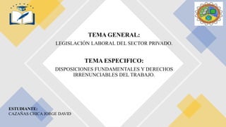 TEMA GENERAL:
LEGISLACIÓN LABORAL DEL SECTOR PRIVADO.
TEMA ESPECIFICO:
DISPOSICIONES FUNDAMENTALES Y DERECHOS
IRRENUNCIABLES DEL TRABAJO.
ESTUDIANTE:
CAZAÑAS CHICA JORGE DAVID
 