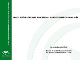 LEGISLACIÓN FORESTAL ASOCIADA AL APROVECHAMIENTO DE PIÑA
Fernando González Marín
Servicio de Gestión Forestal Sostenible
D.G. Gestión del Medio Natural y EEPP.
 