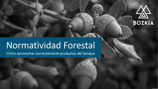 Normatividad Forestal
Cómo aprovechar correctamente productos del bosque
 