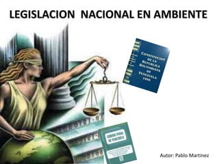 LEGISLACION NACIONAL EN AMBIENTE




                        Autor: Pablo Martinez
 