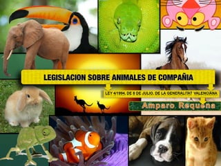 LEGISLACION SOBRE ANIMALES DE COMPAÑIA

 