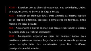 XXVIII - Exercitar tiro ao alvo sobre pombos, nas sociedades, clubes
de caça, inscritos no Serviço de Caça e Pesca;
XXIX - Realizar ou promover lutas entre animais da mesma espécie
ou de espécie diferente, touradas e simulacros de touradas, ainda
mesmo em lugar privado;
XXX - Arrojar aves e outros animais nas caças e espetáculos exibidos
para tirar sorte ou realizar acrobacias;
XXXI – Transportar, negociar ou caçar em qualquer época, aves
insetívoras, pássaros canoros, beija-flores e outras aves de pequeno
porte, exceção feita das autorizações para fins científicos,
consignadas em lei anterior.
 