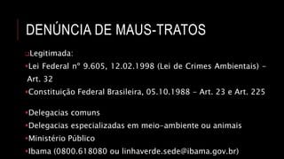 DENÚNCIA DE MAUS-TRATOS
Legitimada:
Lei Federal nº 9.605, 12.02.1998 (Lei de Crimes Ambientais) -
Art. 32
Constituição Federal Brasileira, 05.10.1988 - Art. 23 e Art. 225
Delegacias comuns
Delegacias especializadas em meio-ambiente ou animais
Ministério Público
Ibama (0800.618080 ou linhaverde.sede@ibama.gov.br)
 