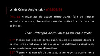 Lei de Crimes Ambientais – n° 9.605/98
“Art. 32 Praticar ato de abuso, maus-tratos, ferir ou mutilar
animais silvestres, domésticos ou domesticados, nativos ou
exóticos.
Pena - detenção, de três meses a um ano, e multa.
§ 1º Incorre nas mesmas penas quem realiza experiência dolorosa
ou cruel em animal vivo, ainda que para fins didáticos ou científicos,
quando existirem recursos alternativos.
§ 2º “A pena é aumentada de um sexto a um terço, se ocorre morte
 