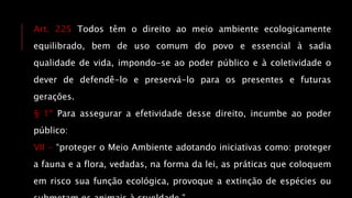 Art. 225 Todos têm o direito ao meio ambiente ecologicamente
equilibrado, bem de uso comum do povo e essencial à sadia
qualidade de vida, impondo-se ao poder público e à coletividade o
dever de defendê-lo e preservá-lo para os presentes e futuras
gerações.
§ 1º Para assegurar a efetividade desse direito, incumbe ao poder
público:
VII - “proteger o Meio Ambiente adotando iniciativas como: proteger
a fauna e a flora, vedadas, na forma da lei, as práticas que coloquem
em risco sua função ecológica, provoque a extinção de espécies ou
 