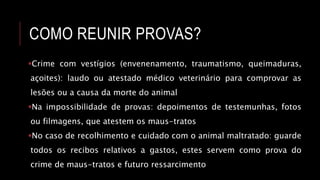 COMO REUNIR PROVAS?
Crime com vestígios (envenenamento, traumatismo, queimaduras,
açoites): laudo ou atestado médico veterinário para comprovar as
lesões ou a causa da morte do animal
Na impossibilidade de provas: depoimentos de testemunhas, fotos
ou filmagens, que atestem os maus-tratos
No caso de recolhimento e cuidado com o animal maltratado: guarde
todos os recibos relativos a gastos, estes servem como prova do
crime de maus-tratos e futuro ressarcimento
 