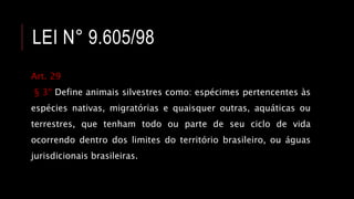 LEI N° 9.605/98
Art. 29
§ 3º Define animais silvestres como: espécimes pertencentes às
espécies nativas, migratórias e quaisquer outras, aquáticas ou
terrestres, que tenham todo ou parte de seu ciclo de vida
ocorrendo dentro dos limites do território brasileiro, ou águas
jurisdicionais brasileiras.
 