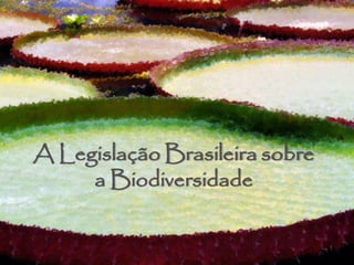 1
A Legislação Brasileira sobre
a Biodiversidade
 