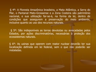 § 4º: A Floresta Amazônica brasileira, a Mata Atlântica, a Serra do Mar, o Pantanal Mato-Grossense e a Zona Costeira são patrimônio nacional, e sua utilização far-se-á, na forma da lei, dentro de condições que assegurem a preservação do meio ambiente, inclusive quanto ao uso dos recursos naturais. § 5º: São indisponíveis as terras devolutas ou arrecadadas pelos Estados, por ações discriminatórias, necessárias à proteção dos ecossistemas naturais. § 6º: As usinas que operem com reator nuclear deverão ter sua localização definida em lei federal, sem o que não poderão ser instaladas.  