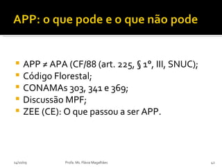 APP ≠ APA (CF/88 (art. 225, § 1°, III, SNUC); Código Florestal; CONAMAs 303, 341 e 369;  Discussão MPF; ZEE (CE): O que passou a ser APP. 14/10/09 Profa. Ms. Flávia Magalhães 