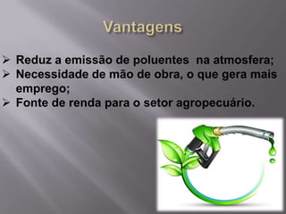  Reduz a emissão de poluentes na atmosfera;
 Necessidade de mão de obra, o que gera mais
  emprego;
 Fonte de renda para o setor agropecuário.
 