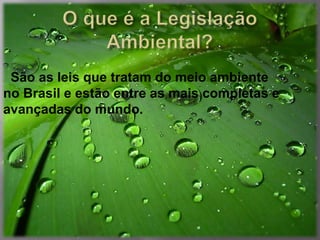São as leis que tratam do meio ambiente
no Brasil e estão entre as mais completas e
avançadas do mundo.
 