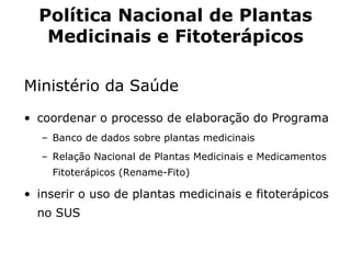 Política Nacional de Plantas Medicinais e Fitoterápicos Ministério da Saúde  coordenar o processo de elaboração do Programa  B anco de dados sobre plantas medicinais Relação Nacional de Plantas Medicinais  e Medicamentos  Fitoterápicos (Rename-Fito) i nser ir  o uso de plantas medicinais e fitoterápicos no S U S 