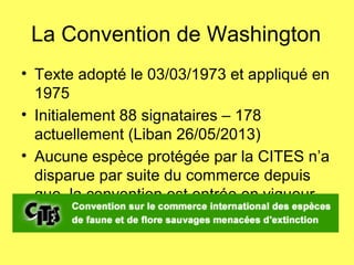 La Convention de Washington
• Texte adopté le 03/03/1973 et appliqué en
1975
• Initialement 88 signataires – 178
actuellement (Liban 26/05/2013)
• Aucune espèce protégée par la CITES n’a
disparue par suite du commerce depuis
que la convention est entrée en vigueur.
 