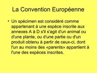 La Convention Européenne
• Un spécimen est considéré comme
appartenant à une espèce inscrite aux
annexes A à D s'il s'agit d'un animal ou
d'une plante, ou d'une partie ou d'un
produit obtenu à partir de ceux-ci, dont
l'un au moins des «parents» appartient à
l'une des espèces inscrites.
 