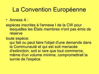 La Convention Européenne
• Annexe A :
espèces inscrites à l'annexe I de la CW pour
lesquelles les États membres n'ont pas émis de
réserve
toute espèce:
qui fait ou peut faire l'objet d'une demande dans
la Communauté et qui est soit menacée
d'extinction, soit si rare que tout commerce,
même d'un volume minime, compromettrait la
survie de l'espèce
 
