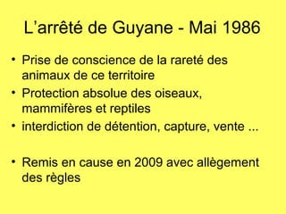 L’arrêté de Guyane - Mai 1986
• Prise de conscience de la rareté des
animaux de ce territoire
• Protection absolue des oiseaux,
mammifères et reptiles
• interdiction de détention, capture, vente ...
• Remis en cause en 2009 avec allègement
des règles
 