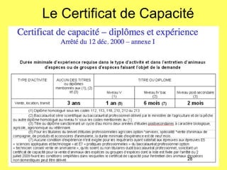 28
Le Certificat de Capacité
 