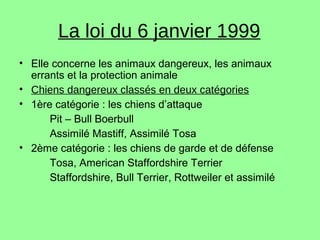 La loi du 6 janvier 1999
• Elle concerne les animaux dangereux, les animaux
errants et la protection animale
• Chiens dangereux classés en deux catégories
• 1ère catégorie : les chiens d’attaque
Pit – Bull Boerbull
Assimilé Mastiff, Assimilé Tosa
• 2ème catégorie : les chiens de garde et de défense
Tosa, American Staffordshire Terrier
Staffordshire, Bull Terrier, Rottweiler et assimilé
 