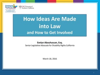5•5
Evelyn Abouhassan, Esq.
Senior Legislative Advocate for Disability Rights California
March 18, 2016
How Ideas Are Made
into Law
and How to Get Involved
 