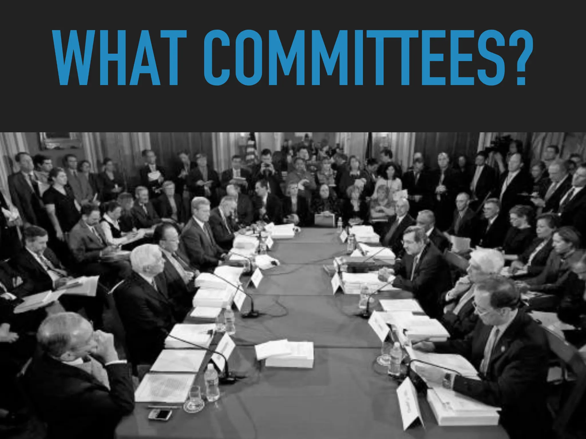 WHAT COMMITTEES?
 