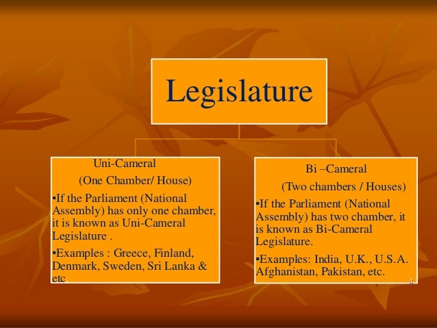What A single-chamber legislature