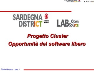 Flavia Marzano - pag. 1
Progetto ClusterProgetto Cluster
Opportunità del software liberoOpportunità del software libero
 