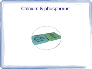 Calcium & phosphorus
 