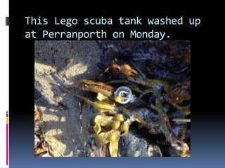 This Lego scuba tank washed up
at Perranporth on Monday.
