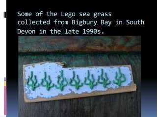 Some of the Lego sea grass
collected from Bigbury Bay in South
Devon in the late 1990s.