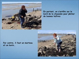 En partant, on s’arrête sur le bord de la chaussée pour pêcher de bonnes huîtres Par contre, il faut un marteau et un burin…  