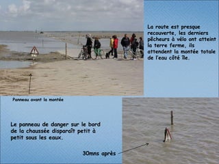 Le panneau de danger sur le bord de la chaussée disparaît petit à petit sous les eaux.  Panneau avant la montée  30mns après La route est presque recouverte, les derniers pêcheurs à vélo ont atteint la terre ferme, ils attendent la montée totale de l’eau côté île. 