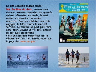 Le site accueille chaque année : les  Foulées du Gois , courses tous niveaux, pendant lesquelles les sportifs doivent affrontés les pavés, le vent marin, le courant et la marée montante. Pour les athlètes, une fois engagés, la lutte contre la mer est terrible. Le coureur ne peut plus faire demi-tour. Devant un tel défi, chacun se bat avec ses moyens.   C’est un spectacle magnifique qui se déroule une fois l'an. Rendez-vous sur la page des  Amis du  gois 