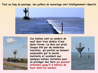 Ces balises sont au nombre de neuf dont trois dotées d'une plate-forme. Le Gois est prisé chaque été par de nombreux touristes, qui parfois se laissent surprendre par la marée montante et accèdent aux quelques balises restantes pour se protéger des flots  qui peuvent atteindre jusqu'à 4 mètres de haut selon les marées. Tout au long du passage,  des pylônes de  sauvetage sont intelligemment répartis 