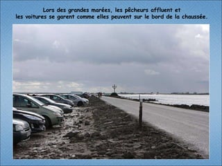 Lors des grandes marées, les pêcheurs affluent et les voitures se garent comme elles peuvent sur le bord de la chaussée. 