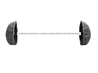 LE CERVEAU GAUCHE SAIT-IL CE QUE LE CERVEAU DROIT EST EN TRAIN DE FAIRE ?
 