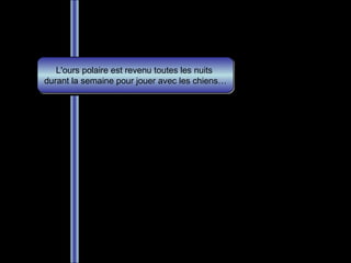 L'ours polaire est revenu toutes les nuits  durant la semaine pour jouer avec les chiens… 
