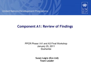 Component A1: Review of Findings PPCR Phase I A1 and A3 Final Workshop January 25, 2011 Dushanbe Susan Legro (Eco Ltd) Team Leader 