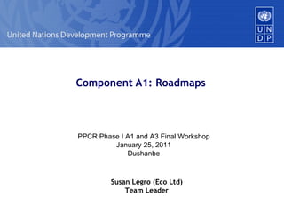 Component A1: Roadmaps PPCR Phase I A1 and A3 Final Workshop January 25, 2011 Dushanbe Susan Legro (Eco Ltd) Team Leader 