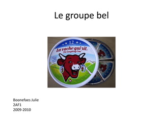 Legroupe bel Boonefaes Julie 2AF1 2009-2010 