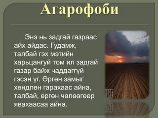 Энэ нь задгай газраас
айх айдас. Гудамж,
талбай гэх мэтийн
харьцангуй том ил задгай
газар байж чаддаггүй
гэсэн үг. Өргөн замыг
хөндлөн гарахаас айна,
талбай, өргөн чөлөөгөөр
явахаасаа айна.
 