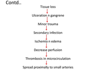 Contd.. 
Tissue loss 
Ulceration n gangrene 
Minor trauma 
Secondary infection 
Ischemia n edema 
Decrease perfusion 
Thrombosis in microcirculation 
Spread proximally to small arteries 
 