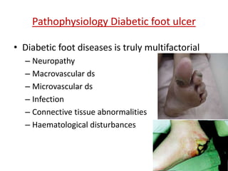 Pathophysiology Diabetic foot ulcer 
• Diabetic foot diseases is truly multifactorial 
– Neuropathy 
– Macrovascular ds 
– Microvascular ds 
– Infection 
– Connective tissue abnormalities 
– Haematological disturbances 
 