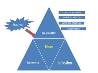 Neuropathy 
Ischemia 
Ulcer 
Infection 
Trauma 
SOMATIC SENSORY 
SOMATIC MOTOR 
VISCERAL SENSORY 
AUTONOMIC 
 