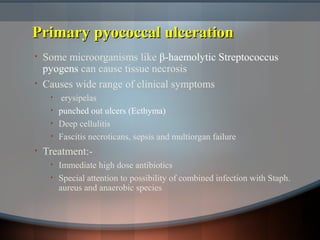 Primary pyococcal ulcerationPrimary pyococcal ulceration
• Some microorganisms like β-haemolytic Streptococcus
pyogens can cause tissue necrosis
• Causes wide range of clinical symptoms
• erysipelas
• punched out ulcers (Ecthyma)
• Deep cellulitis
• Fascitis necroticans, sepsis and multiorgan failure
• Treatment:-
• Immediate high dose antibiotics
• Special attention to possibility of combined infection with Staph.
aureus and anaerobic species
 