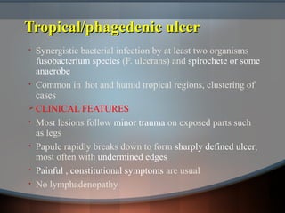 Tropical/phagedenic ulcerTropical/phagedenic ulcer
• Synergistic bacterial infection by at least two organisms
fusobacterium species (F. ulcerans) and spirochete or some
anaerobe
• Common in hot and humid tropical regions, clustering of
cases
 CLINICAL FEATURES
• Most lesions follow minor trauma on exposed parts such
as legs
• Papule rapidly breaks down to form sharply defined ulcer,
most often with undermined edges
• Painful , constitutional symptoms are usual
• No lymphadenopathy
 