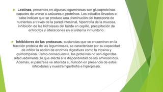  Lectinas, presentes en algunas leguminosas son glucoproteínas
capaces de unirse a azúcares o proteínas. Los estudios llevados a
cabo indican que se produce una disminución del transporte de
nutrientes a través de la pared intestinal, hipertrofia de la mucosa,
inhibición de las hidrolasas del borde en cepillo, precipitación de
eritrocitos y alteraciones en el sistema inmunitario.
 Inhibidores de las proteasas, sustancias que se encuentran en la
fracción proteica de las leguminosas, se caracterizan por su capacidad
de inhibir la acción de enzimas digestivas como la tripsina y
quimotripsina. Como consecuencia, las proteínas no son digeridas
adecuadamente, lo que afecta a la disponibilidad de los aminoácidos.
Además, el páncreas ve alterada su función en presencia de estos
inhibidores y nuestra hipertrofia e hiperplasia.
 