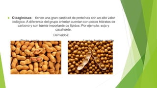  Oleaginosas: tienen una gran cantidad de proteínas con un alto valor
biológico. A diferencia del grupo anterior cuentan con pocos hidratos de
carbono y son fuente importante de lípidos. Por ejemplo: soja y
cacahuete.
Derivados:
Pasta, aceite Leche, harina, aceite
 