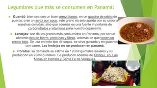 Legumbres que más se consumen en Panamá:
 Guandú: bien sea con un buen arroz blanco, en un guacho de rabito de
puerco, o en un arroz con coco, este grano no solo aporta con su sabor a
nuestras comidas, sino que además es una fuente importante de
carbohidratos y vitaminas para nuestro organismo.
 Lentejas: son de los granos más consumidos en Panamá, por ser un
alimento rico en hierro, proteínas y fibras, además de que tienen un
precio bajo. Se usa en todo tipo de sopas, se sirve guisada y en guachos
con carne. Las lentejas no se producen en panamá.
 Porotos: su demanda se estima en 120mil quintales anuales y su
producción en 70mil quintales. Se producen además de Chiriquí, en Las
Minas en Herrera y Santa Fe de Veraguas.
 